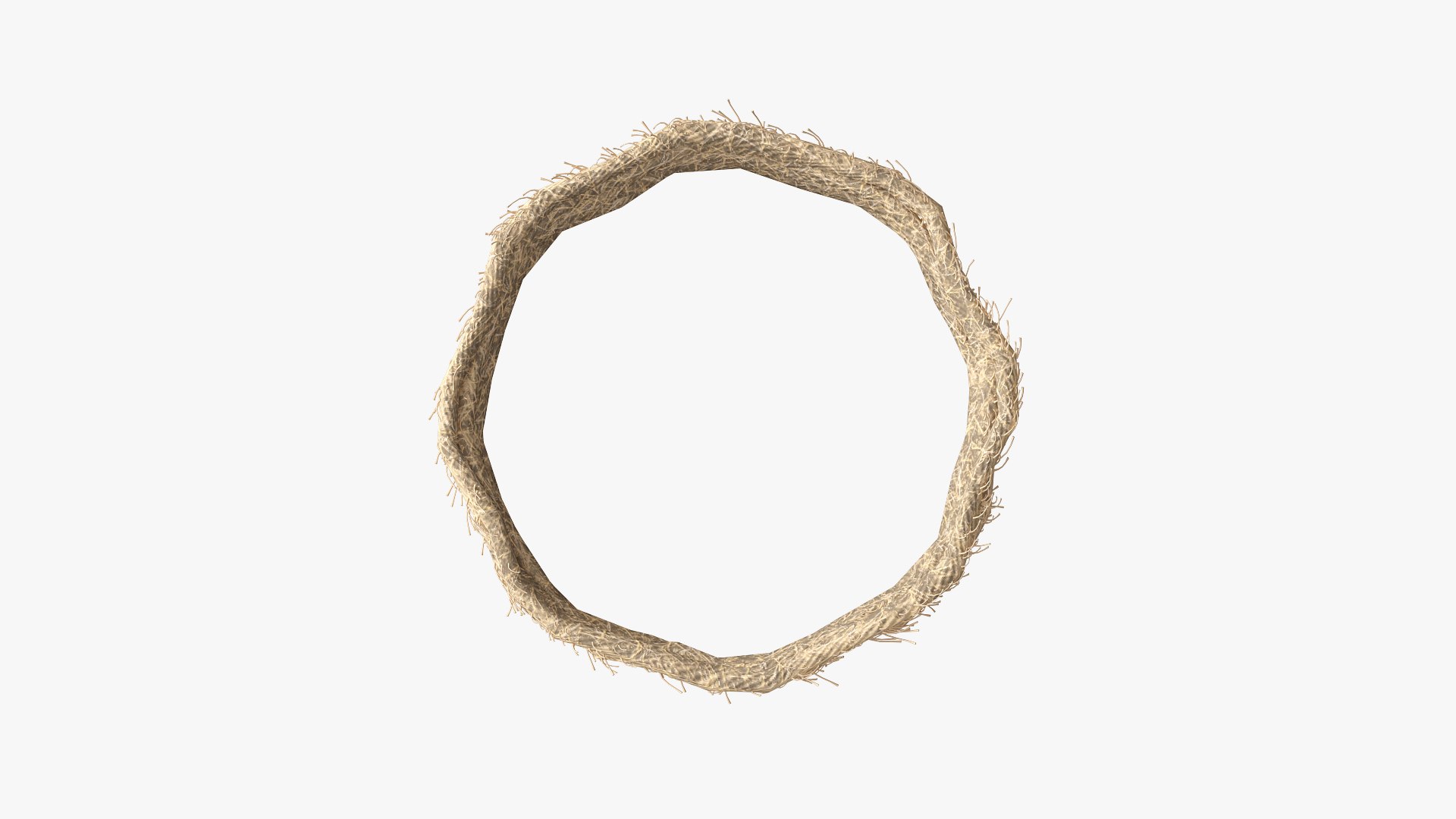 Circular Rope 3D Model - TurboSquid 1476118