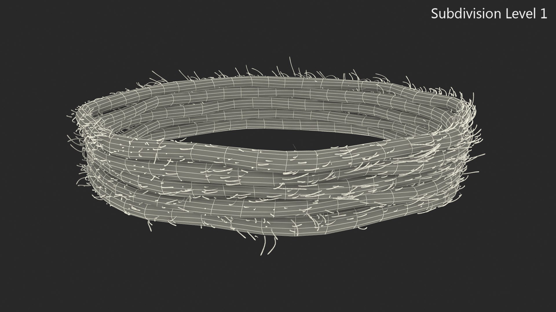 Circular Rope 3D Model - TurboSquid 1476118