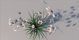  3D model