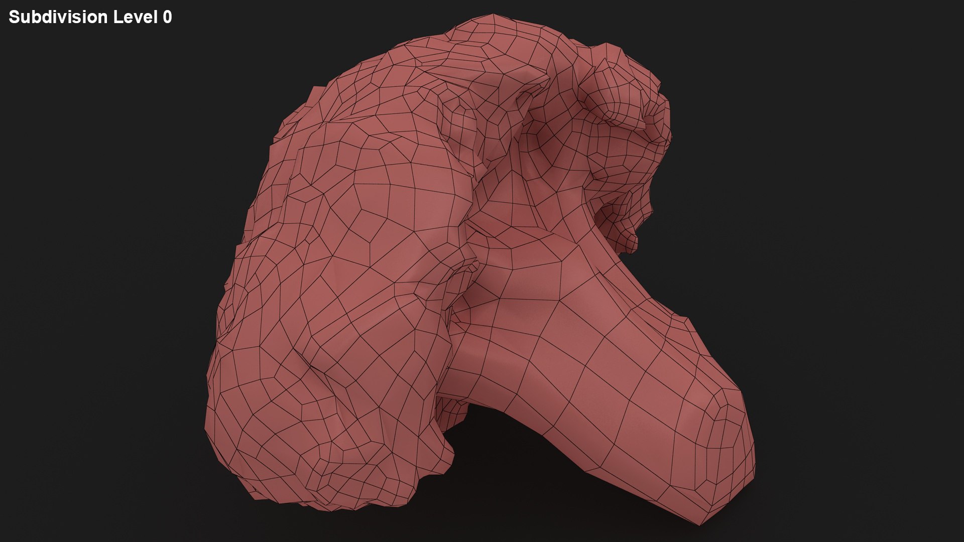vegetable broccoli 3D model https://p.turbosquid.com/ts-thumb/pd/gSXZBU/G7/24/jpg/1612020564/1920x1080/fit_q87/6176ae6bc045b0aa60e3da75d68a16e067e78df7/24.jpg