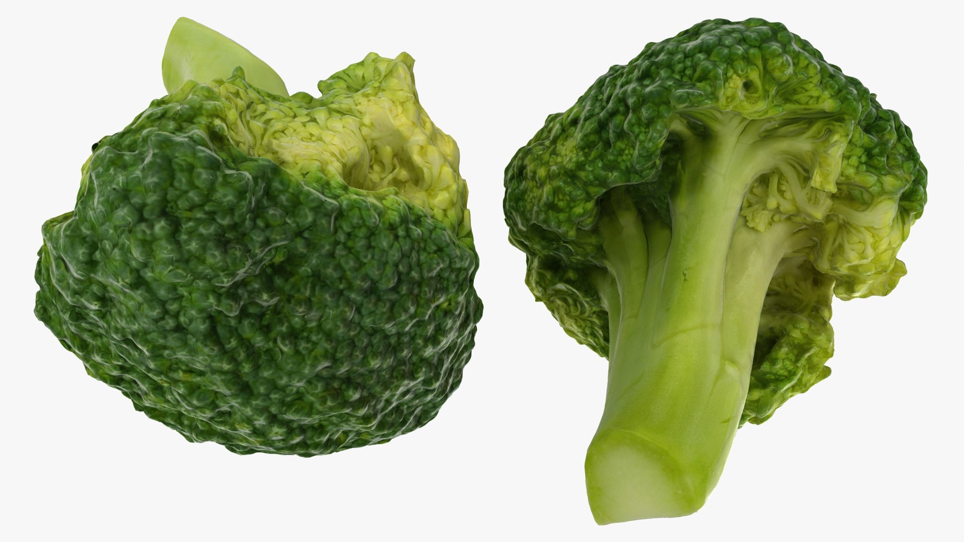 vegetable broccoli 3D model https://p.turbosquid.com/ts-thumb/pd/gSXZBU/HF/12/jpg/1612020553/1920x1080/fit_q87/f554575a65b33f623cdc10900764f6161f3e69a2/12.jpg