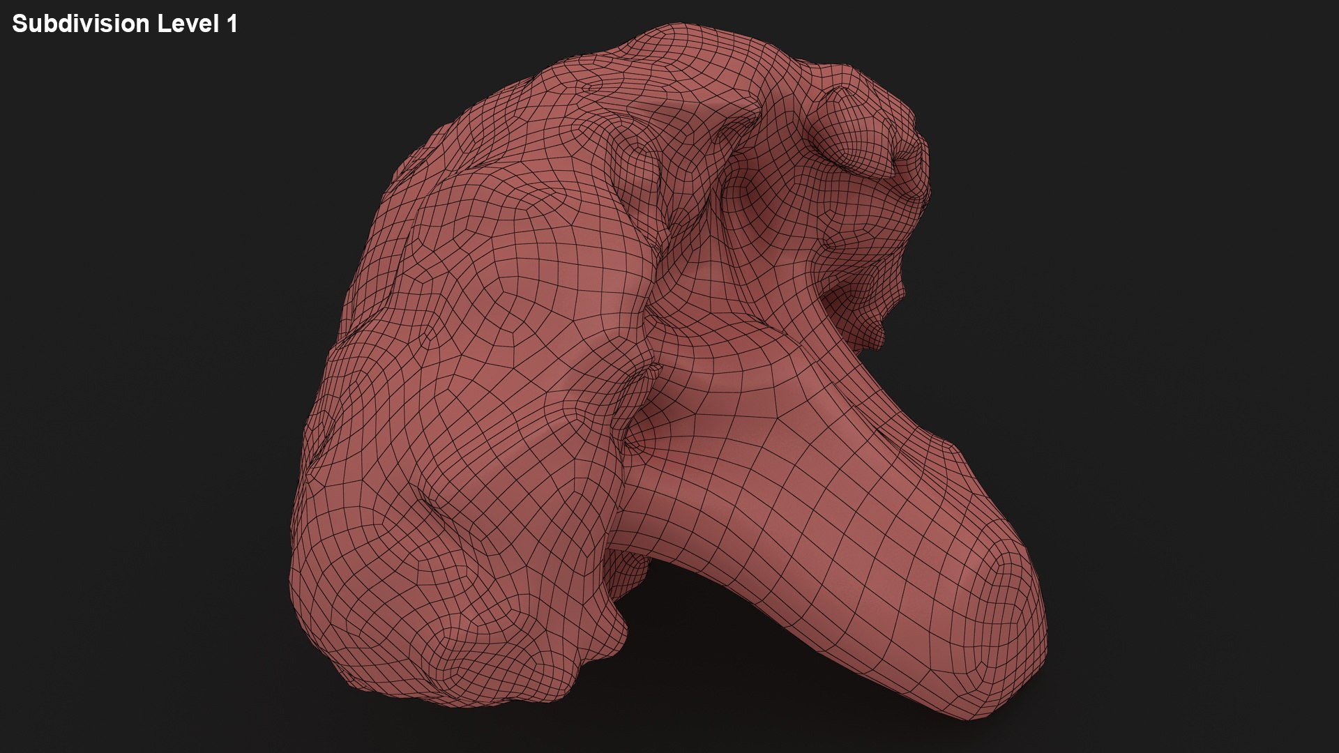 vegetable broccoli 3D model https://p.turbosquid.com/ts-thumb/pd/gSXZBU/IB/25/jpg/1612020560/1920x1080/fit_q87/8b10db7bc909cc48e7e9bb96716a50b7720d6142/25.jpg