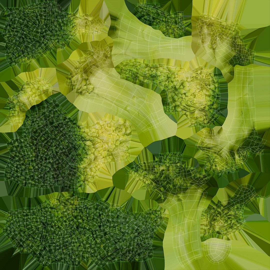3D model broccoli florets https://p.turbosquid.com/ts-thumb/pd/gSXZBU/Ir/16/jpg/1612020574/1920x1080/fit_q87/5ebc9f6bd83a2c4e48160203dc1581ac0c8f16b2/16.jpg