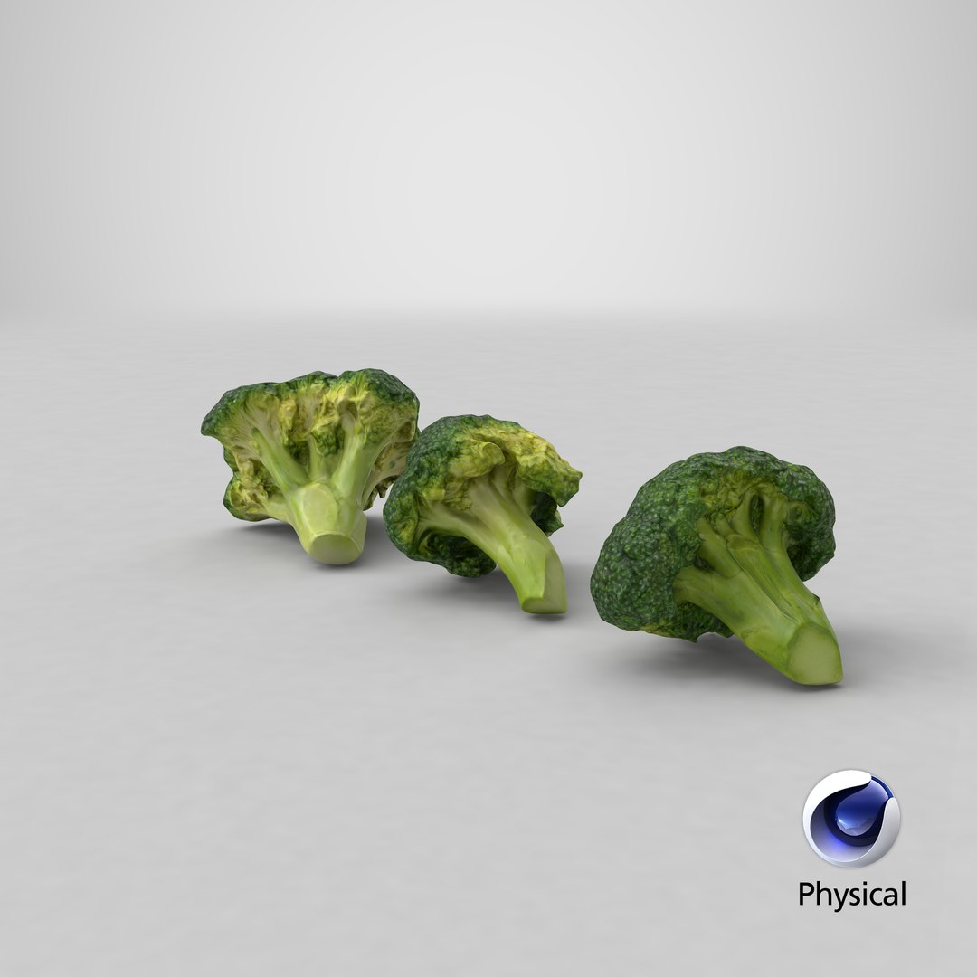 3D model broccoli florets https://p.turbosquid.com/ts-thumb/pd/gSXZBU/Jm/stemcell_cinema_4d_physical_render/png/1613615165/1920x1080/fit_q87/6df01a809fa095974d468597bea3959d4a08345d/stemcell_cinema_4d_physical_render.jpg