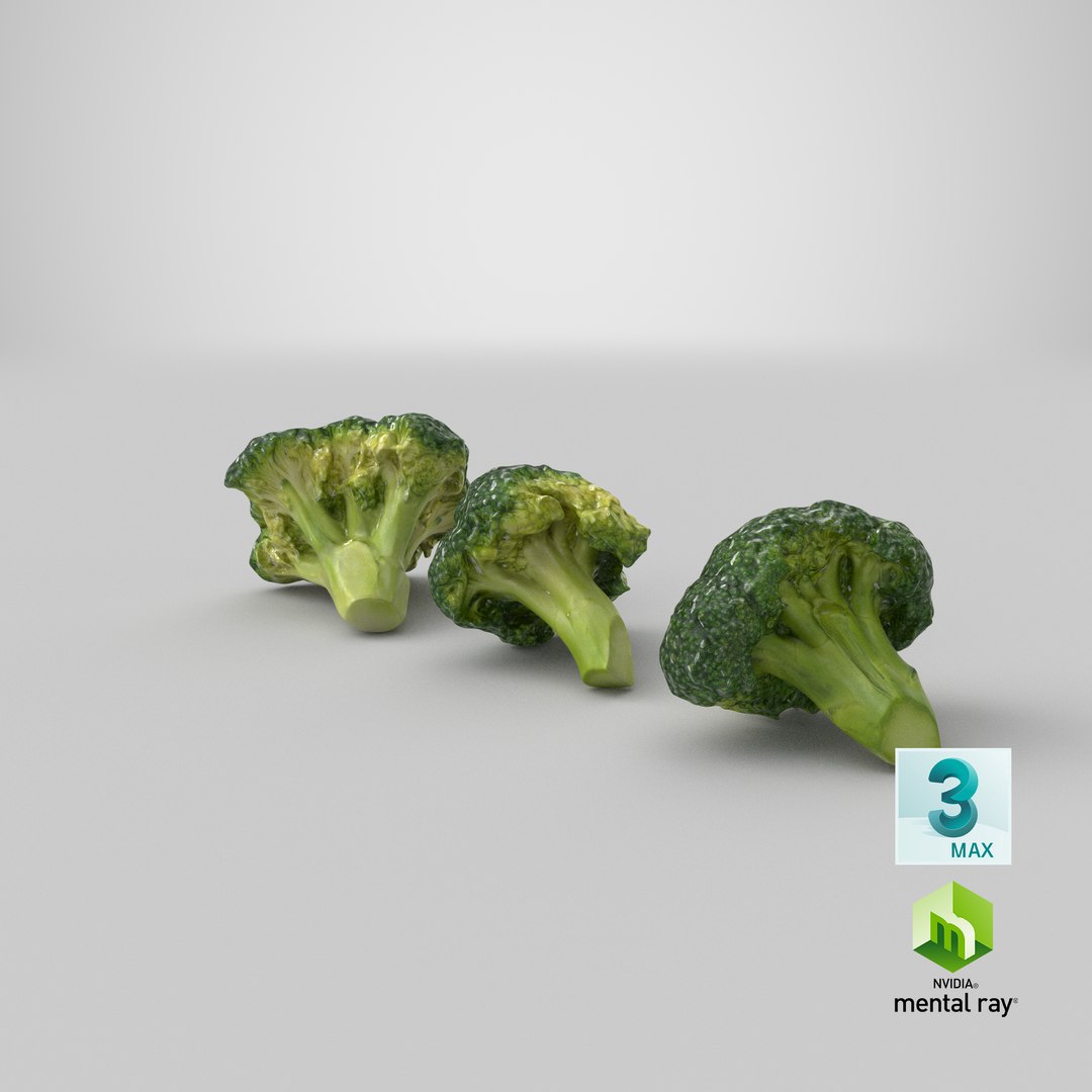 3D model broccoli florets https://p.turbosquid.com/ts-thumb/pd/gSXZBU/KT/stemcell_max_mental_ray_render/png/1613615170/1920x1080/fit_q87/1bd4cabb9da2b88340c8b3fb253178afaea5290c/stemcell_max_mental_ray_render.jpg