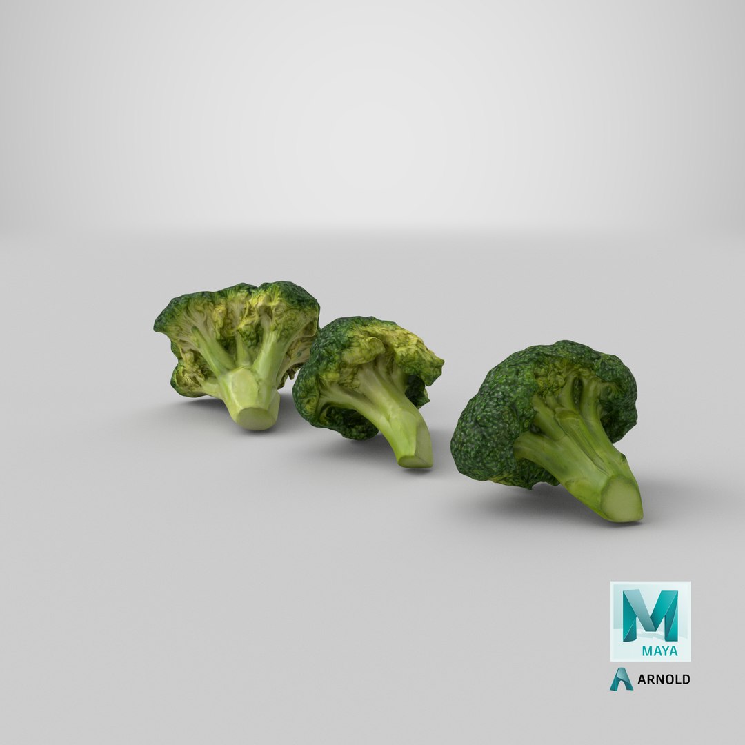 3D model broccoli florets https://p.turbosquid.com/ts-thumb/pd/gSXZBU/Kv/stemcell_maya_arnold_render/png/1613615173/1920x1080/fit_q87/cbf18f90bc90f50b75b74ecd14966ccfb62df8ff/stemcell_maya_arnold_render.jpg
