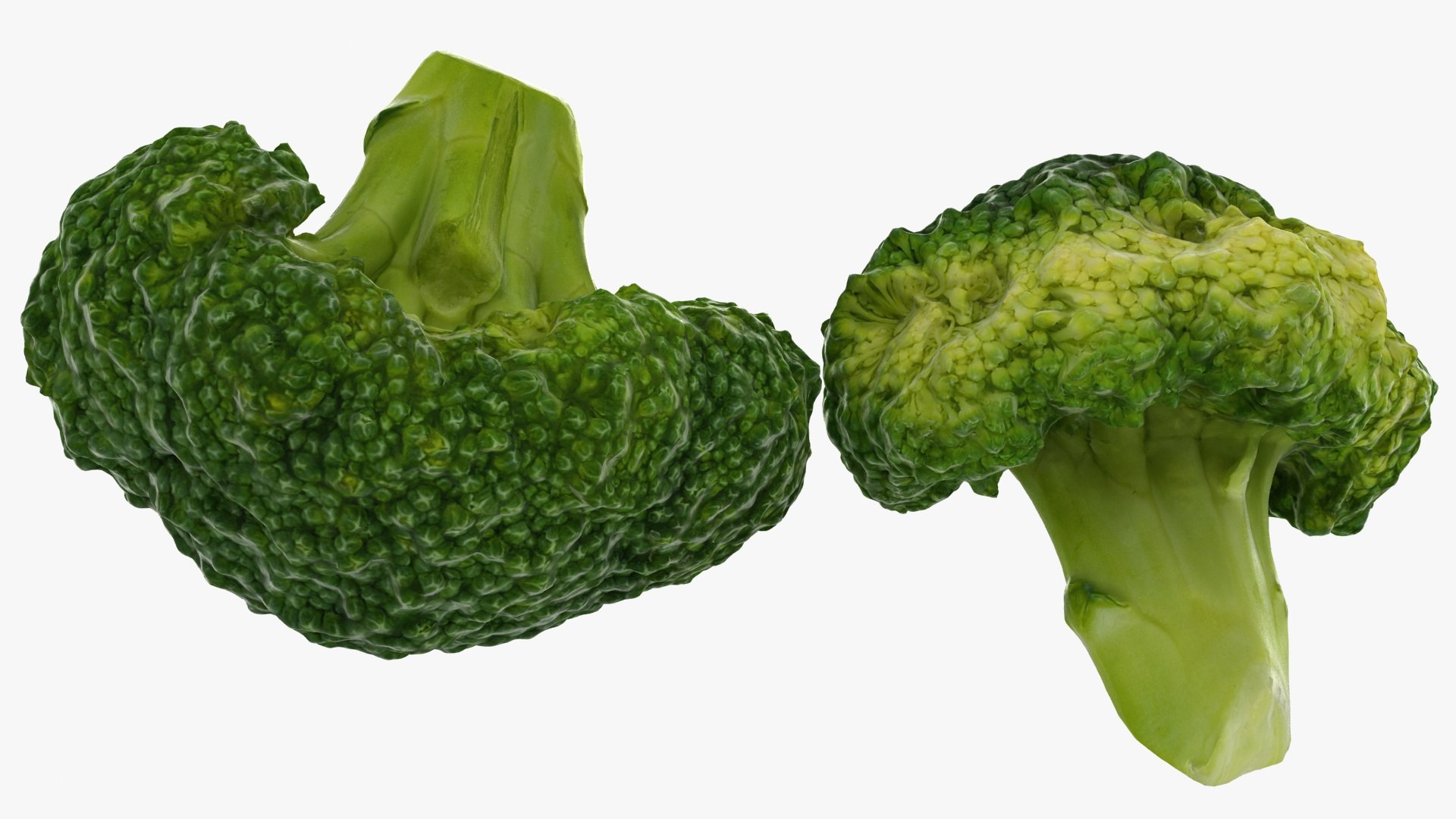 vegetable broccoli 3D model https://p.turbosquid.com/ts-thumb/pd/gSXZBU/Ws/23/jpg/1612020550/1920x1080/fit_q87/bd1e743f637cdb99e10c4c227bf5528d9f040051/23.jpg