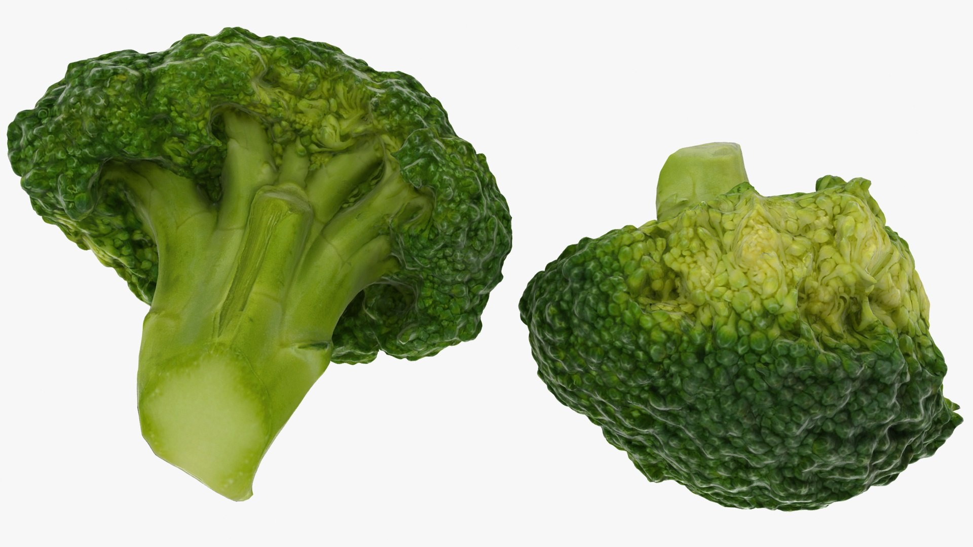 vegetable broccoli 3D model https://p.turbosquid.com/ts-thumb/pd/gSXZBU/iH/22/jpg/1612020545/1920x1080/fit_q87/fd89dec0255092e27640179f2abe0172d1fe2a61/22.jpg