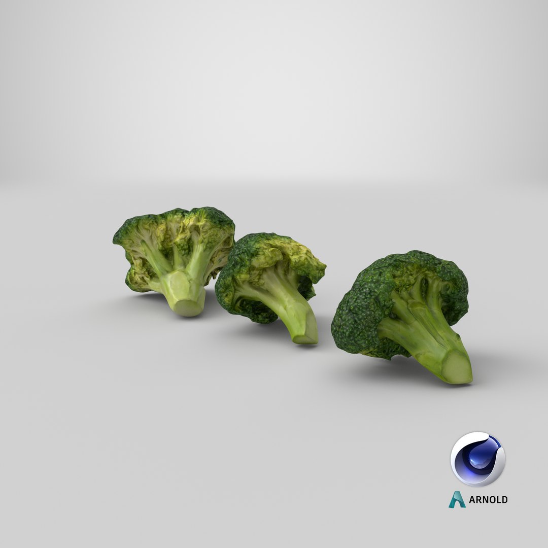 3D model broccoli florets https://p.turbosquid.com/ts-thumb/pd/gSXZBU/r6/stemcell_cinema_4d_arnold_render/png/1613615167/1920x1080/fit_q87/4304b03dd7a3f3479e2796c3229a38d89aa25c7f/stemcell_cinema_4d_arnold_render.jpg