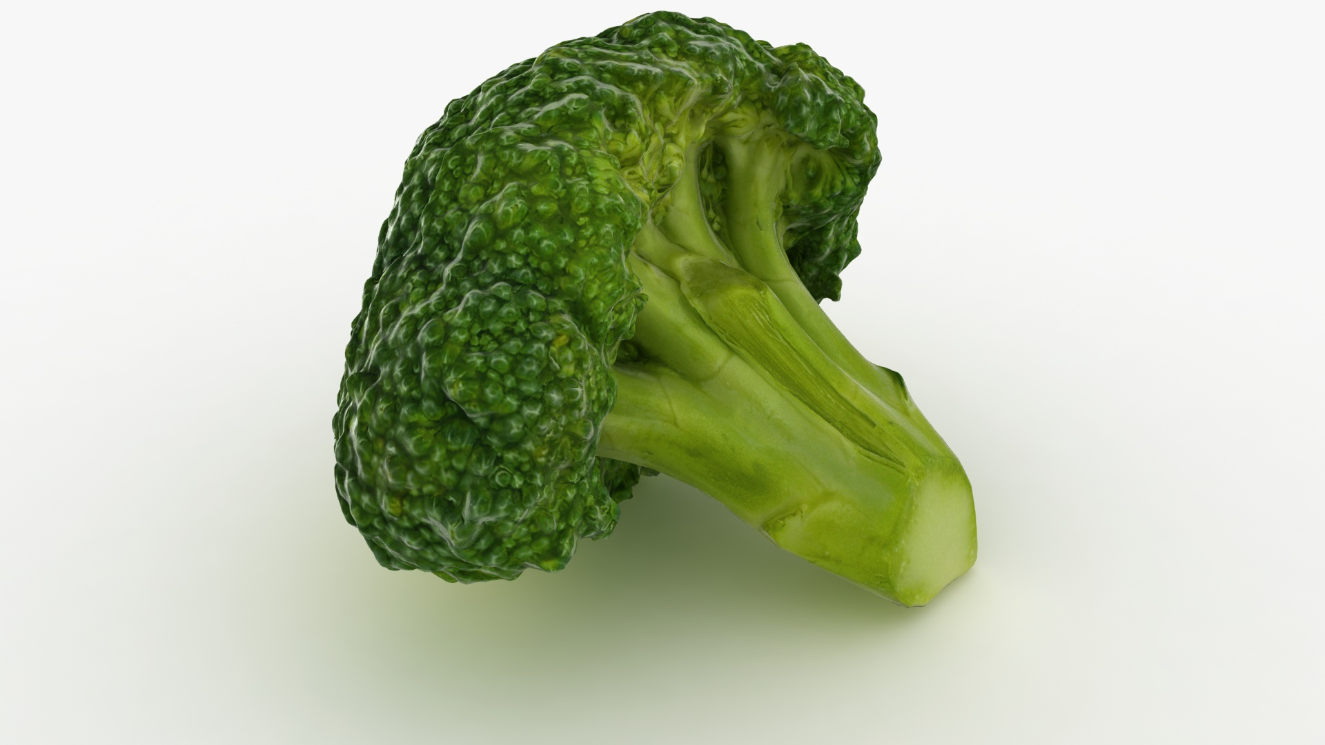 vegetable broccoli 3D model https://p.turbosquid.com/ts-thumb/pd/gSXZBU/wD/broccoliflore/jpg/1612020717/1920x1080/turn_fit_q99/5a5bd3be031c4ef64dee92e178b551f5c01d9b27/broccoliflore-1.jpg