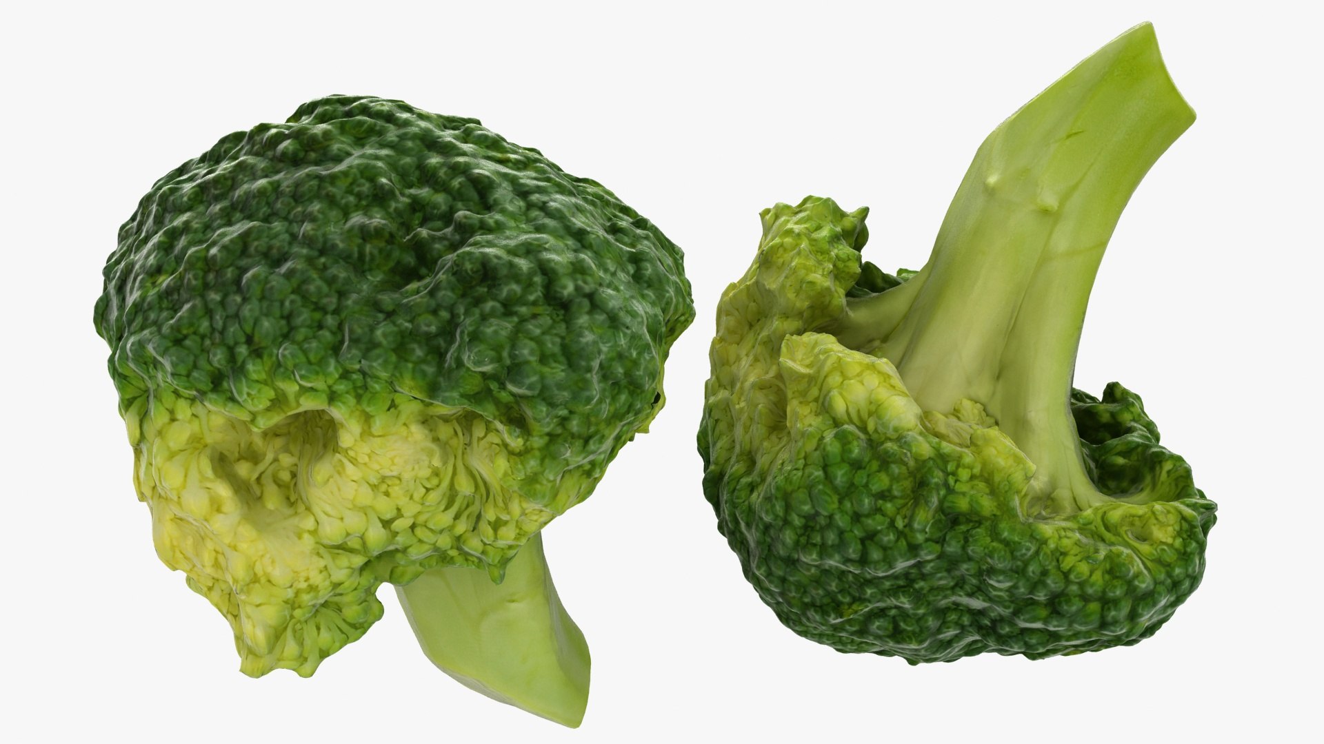 vegetable broccoli 3D model https://p.turbosquid.com/ts-thumb/pd/gSXZBU/y4/13/jpg/1612020542/1920x1080/fit_q87/d50f4526ad5cb00b104ecbb41e3dc6601eed16af/13.jpg