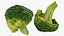 Ensemble de brocoli