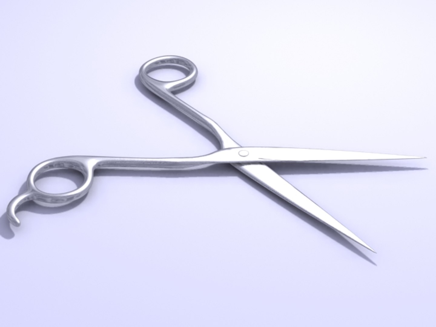 3d Model Scissors Zipped