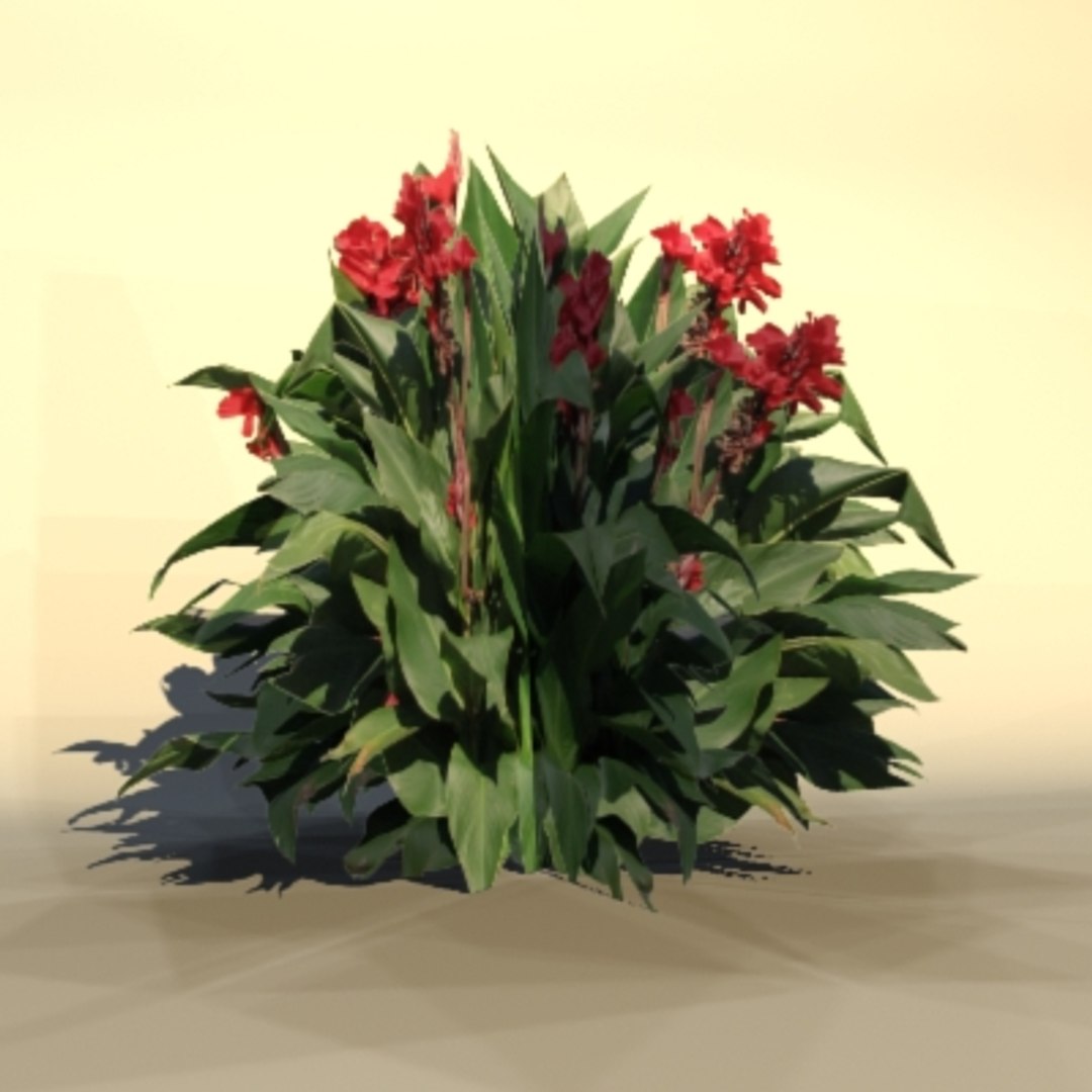 3d pc ps2 model