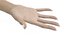 White Female Hand Rigged