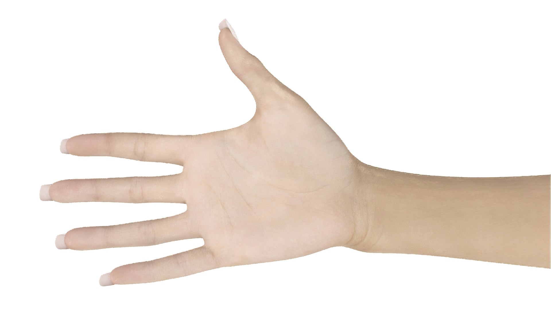3D White Female Hand Rigged https://p.turbosquid.com/ts-thumb/pd/qZmPVl/Kk/whitefemalehandriggedc4dmodel008/jpg/1703683820/1920x1080/fit_q87/4767ea4c128005e578bc401f7bd9ac7631f986d8/whitefemalehandriggedc4dmodel008.jpg