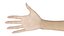 White Female Hand Rigged