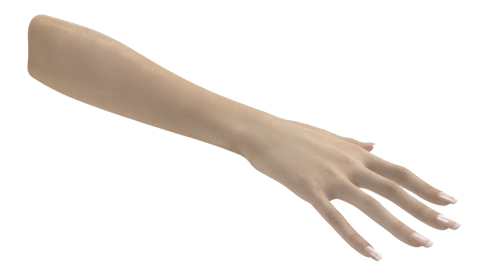 3D White Female Hand Rigged https://p.turbosquid.com/ts-thumb/pd/qZmPVl/jS/whitefemalehandriggedc4dmodel007/jpg/1703683814/1920x1080/fit_q87/4dd9d98fde77496c4925572826adebea3004ef1a/whitefemalehandriggedc4dmodel007.jpg