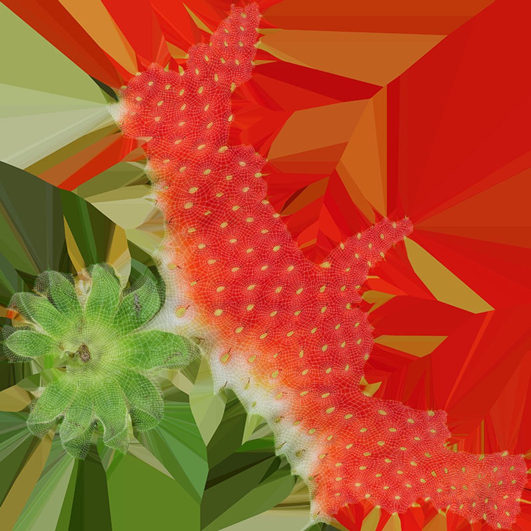 3D model Strawberry Collection https://p.turbosquid.com/ts-thumb/pe/3b9FmZ/do/strawberry04_d0004/jpg/1717231248/1920x1080/fit_q87/606c12c8966c721045ffcde02455668e0d72804d/strawberry04_d0004.jpg