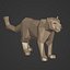 Snow Leopard 3D model