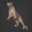 Snow Leopard 3D model