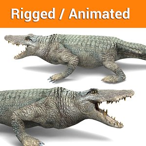 crocodile rigged ready animation 3D