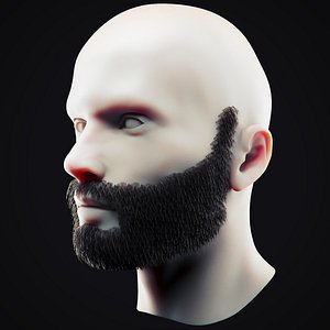 Beard Low Poly 12