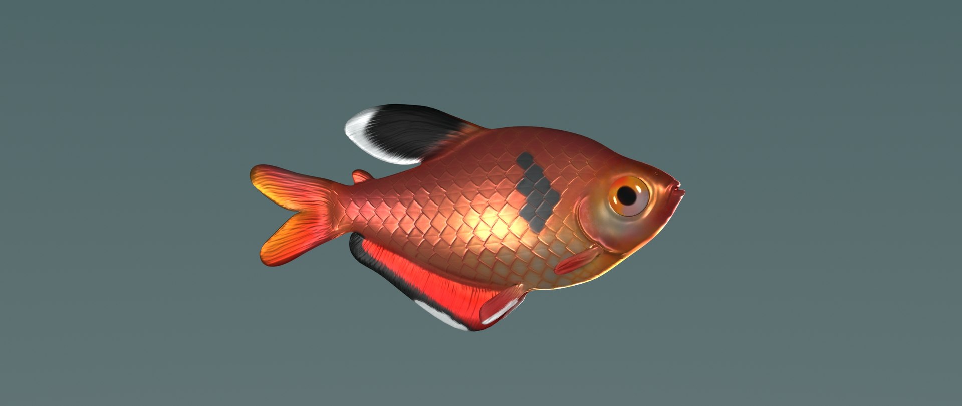 3D hyphessobrycon eques model https://p.turbosquid.com/ts-thumb/pe/RERtKJ/he0Ryyfh/mato_grosso4/jpg/1557772735/1920x1080/fit_q87/5057e174e0bec691a1450ae7cd35ec830b2fb3fa/mato_grosso4.jpg