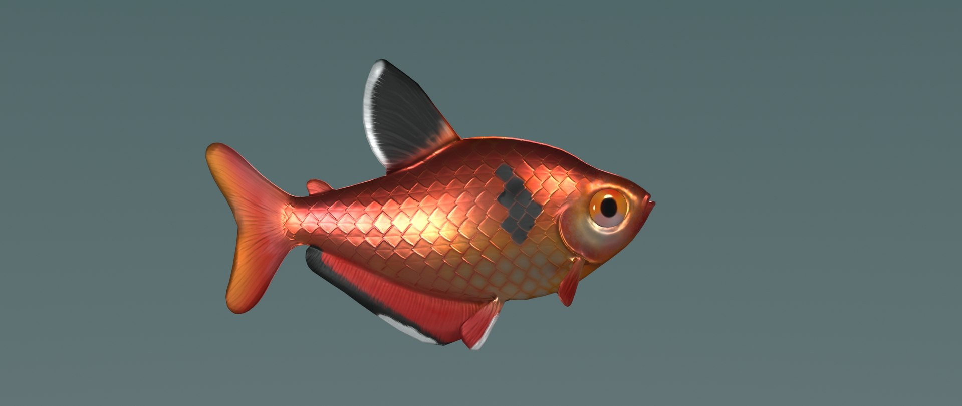 3D hyphessobrycon eques model https://p.turbosquid.com/ts-thumb/pe/RERtKJ/u7azTc44/mato_grosso/jpg/1557772278/1920x1080/fit_q87/1d55cb7e9b887881b6b68f5fc6171817d083576e/mato_grosso.jpg
