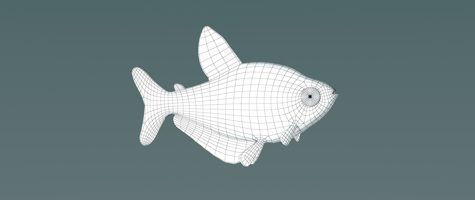 3D hyphessobrycon eques model https://p.turbosquid.com/ts-thumb/pe/RERtKJ/vG6N6RoI/mato_grosso5/jpg/1557772793/1920x1080/fit_q87/8c4bc9cbe33ca69c5a25763cf94e43eb125362b3/mato_grosso5.jpg