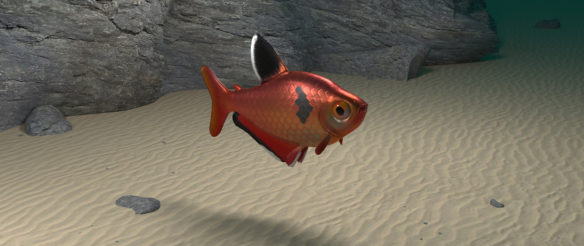 3D hyphessobrycon eques model https://p.turbosquid.com/ts-thumb/pe/RERtKJ/x1CfEsu5/mato_grosso3/jpg/1557772239/1920x1080/fit_q87/99f90b8525ab7b29e9fdd22f2a772314b70daec8/mato_grosso3.jpg