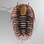 Trilobit
