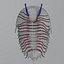 Trilobit