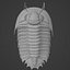 Trilobit