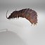 Trilobit