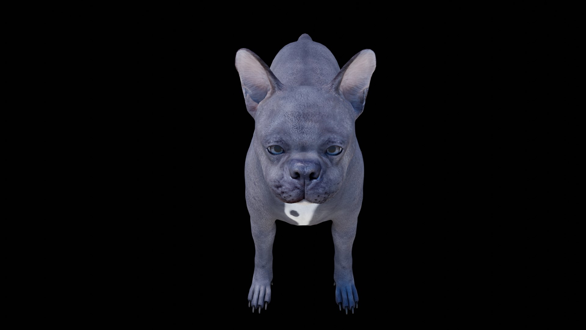 French Bulldog 3D model https://p.turbosquid.com/ts-thumb/pe/RWDYin/Om/dog09/png/1719608095/1920x1080/fit_q87/41073877ceeec52ece0e0761335a1c5dee27d935/dog09.jpg