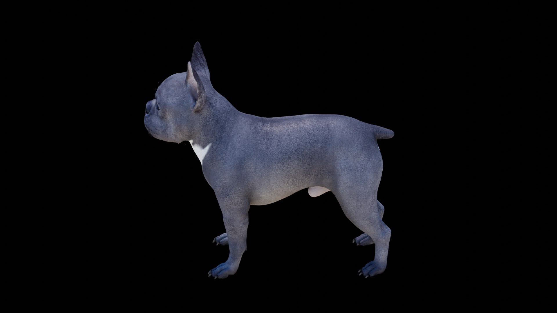 French Bulldog 3D model https://p.turbosquid.com/ts-thumb/pe/RWDYin/a9/dog07/png/1719608093/1920x1080/fit_q87/92d03e98e7dcd0797f6e766555cfb0961226fae3/dog07.jpg