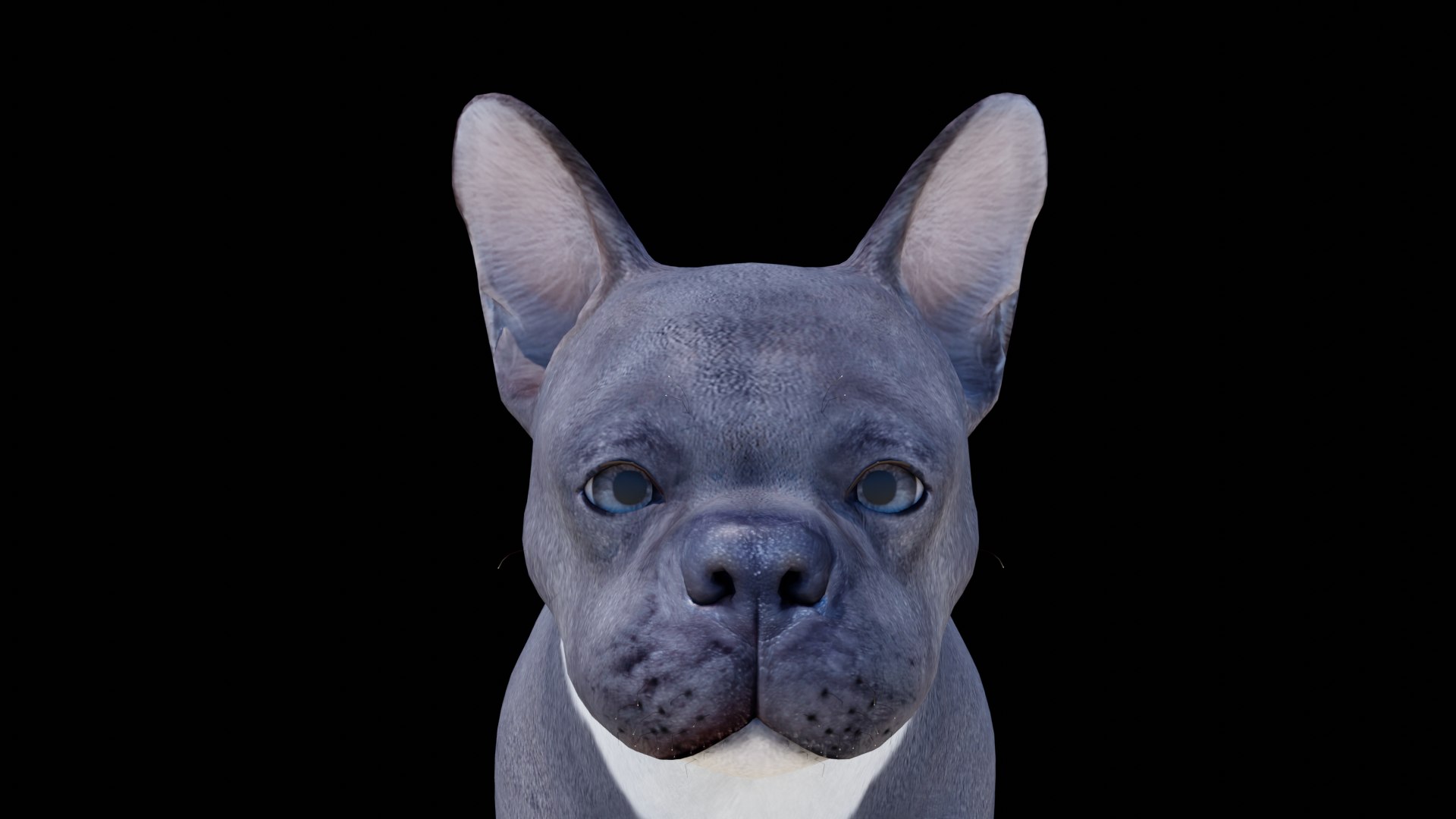 French Bulldog 3D model https://p.turbosquid.com/ts-thumb/pe/RWDYin/cO/dog12/png/1719608099/1920x1080/fit_q87/698f42e058a6b135ac666fb30524cb5a52697f70/dog12.jpg