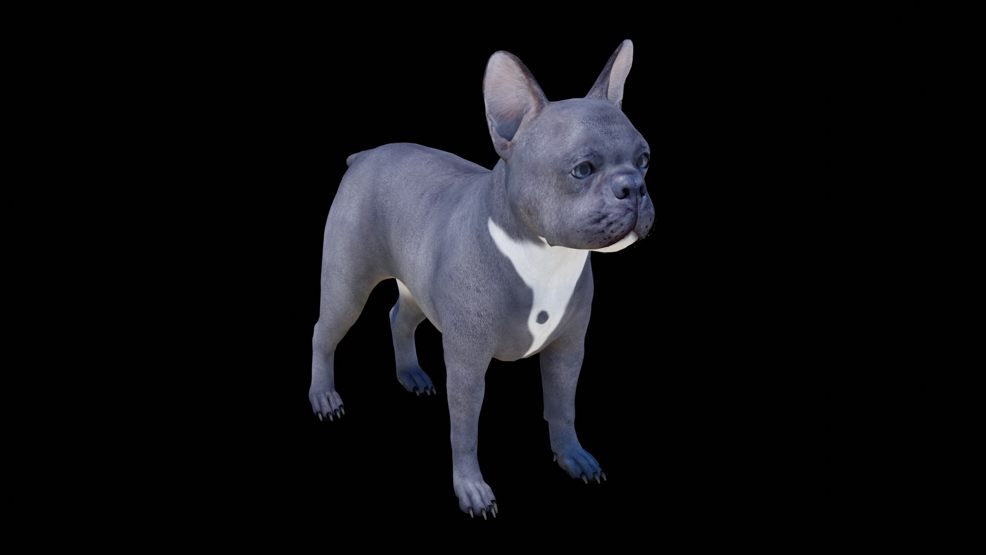French Bulldog 3D model https://p.turbosquid.com/ts-thumb/pe/RWDYin/f1/dog02/png/1719608091/1920x1080/fit_q87/90445f79fc5a614ed67d3384092021bed0a806d6/dog02.jpg