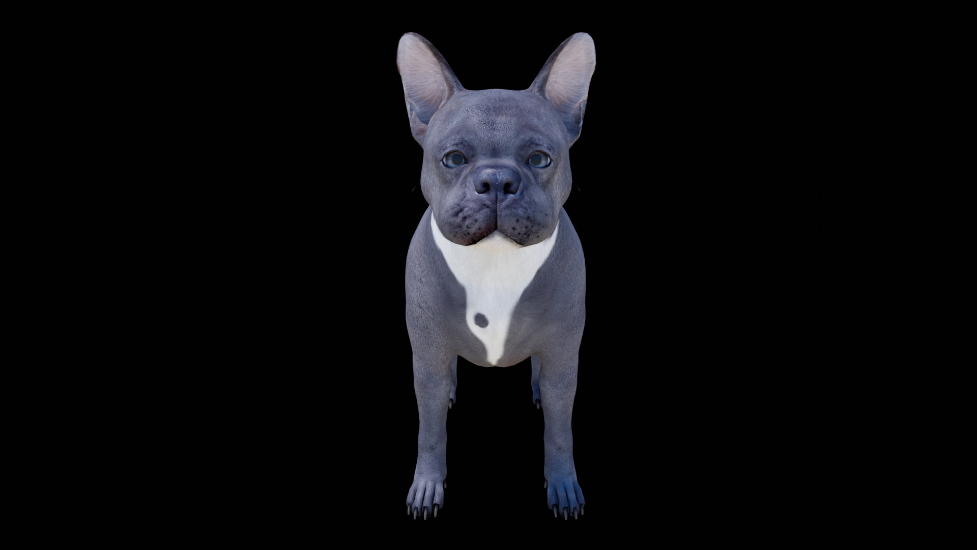 French Bulldog 3D model https://p.turbosquid.com/ts-thumb/pe/RWDYin/ia/dog01/png/1719608089/1920x1080/fit_q87/d6ee2ea7830c08984d8914b3546aa3904c9b722e/dog01.jpg