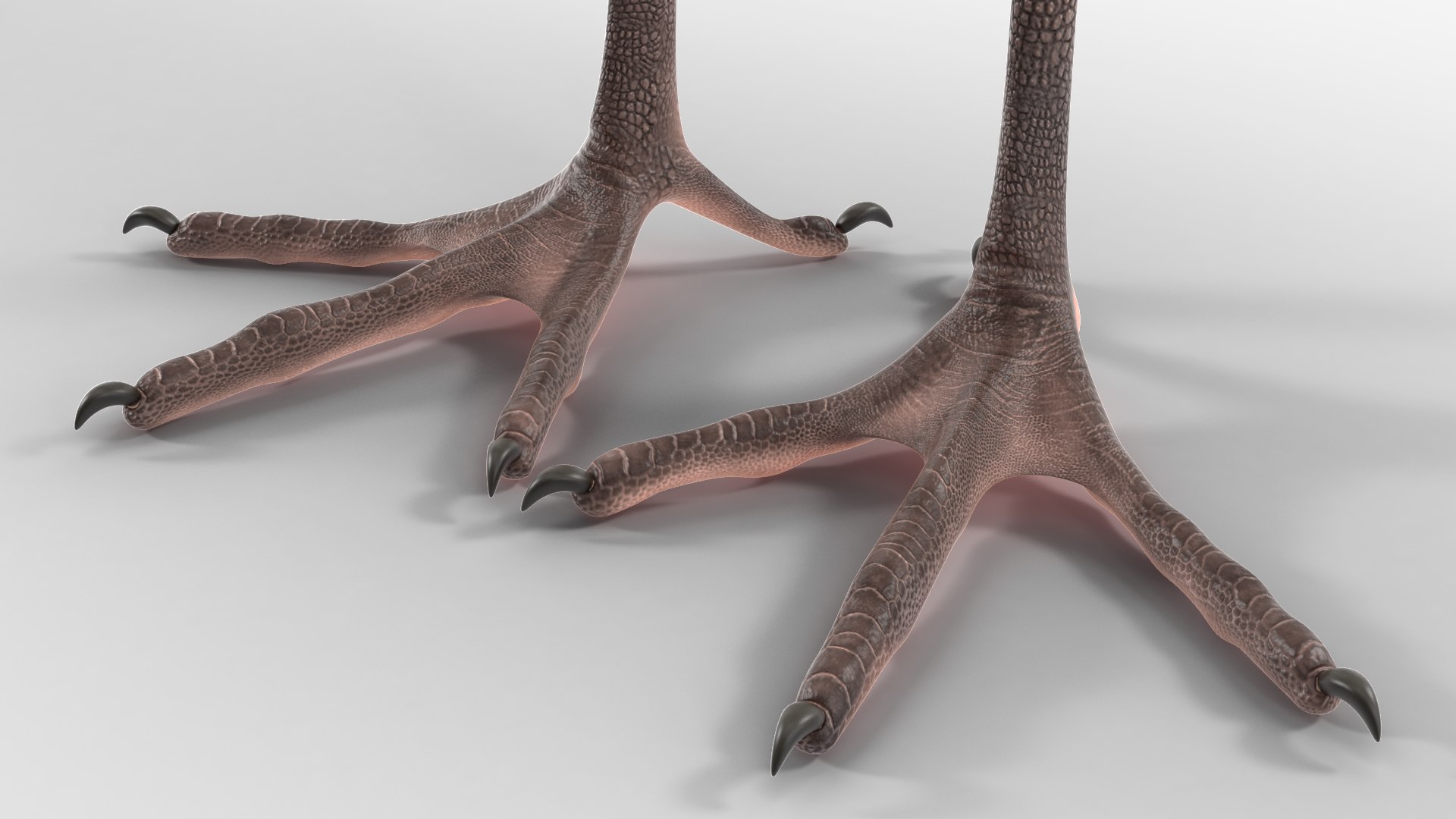 3D Grey Heron Rigged for Maya https://p.turbosquid.com/ts-thumb/pe/s6OmCF/MB/greyheronriggedformaya3dsmodel023/jpg/1667085165/1920x1080/fit_q87/ddc421b5fa8a5a36125bc0b0d73035f839d202c2/greyheronriggedformaya3dsmodel023.jpg