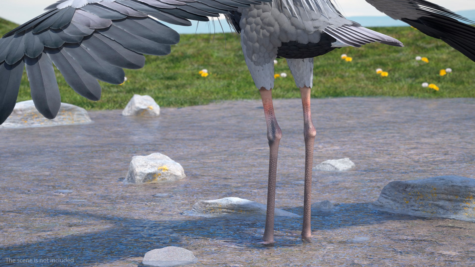 3D Grey Heron Rigged for Maya https://p.turbosquid.com/ts-thumb/pe/s6OmCF/PM/greyheronriggedformaya3dsmodel012/jpg/1667085123/1920x1080/fit_q87/c9401d1251692ea47838a60eb7a1dcdff43b0ae3/greyheronriggedformaya3dsmodel012.jpg