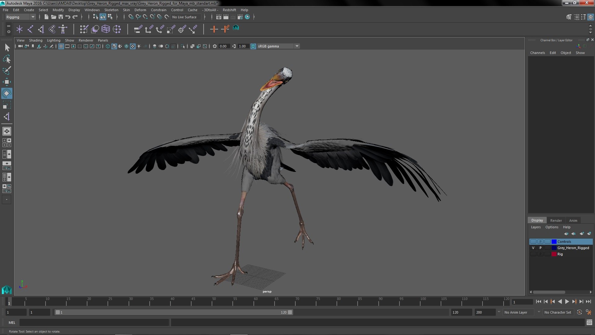 3D Grey Heron Rigged for Maya https://p.turbosquid.com/ts-thumb/pe/s6OmCF/Q4/greyheronriggedformaya3dsmodel045/jpg/1667085242/1920x1080/fit_q87/beadfe75dd72716978b8242c7798f2c8063bcdd8/greyheronriggedformaya3dsmodel045.jpg