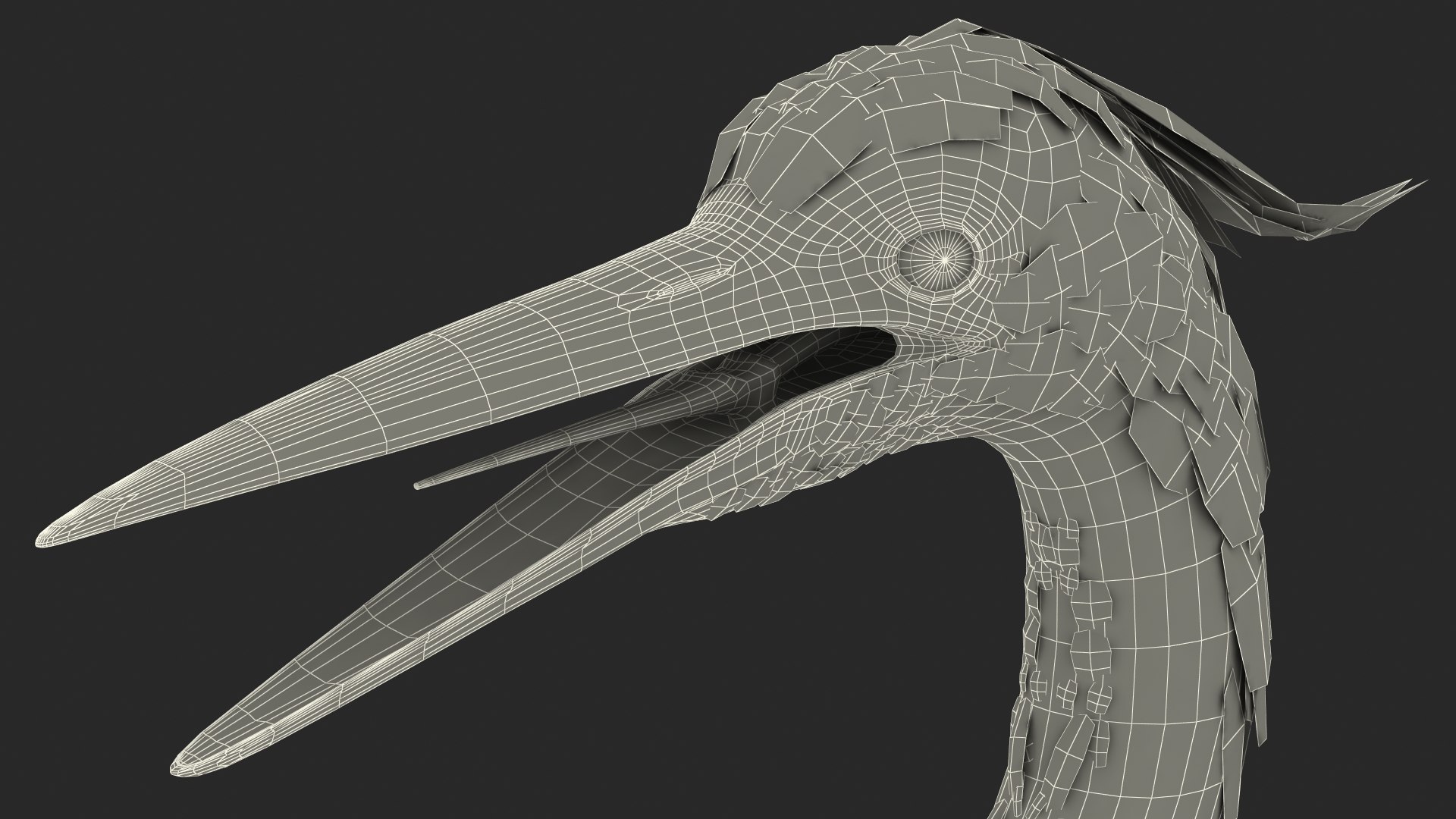 3D Grey Heron Rigged for Maya https://p.turbosquid.com/ts-thumb/pe/s6OmCF/Uv/greyheronriggedformaya3dsmodel038/jpg/1667085221/1920x1080/fit_q87/1188eb24779dde740dfd6e3248958409e10f3490/greyheronriggedformaya3dsmodel038.jpg