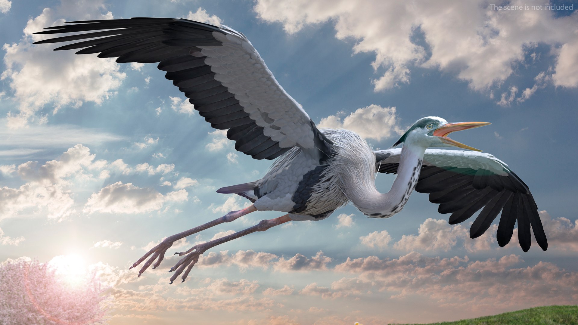 3D Grey Heron Rigged for Maya https://p.turbosquid.com/ts-thumb/pe/s6OmCF/W2/greyheronriggedformaya3dsmodel008/jpg/1667085104/1920x1080/fit_q87/de1e8179dccd97d355e46f0652c9808a38a2905b/greyheronriggedformaya3dsmodel008.jpg