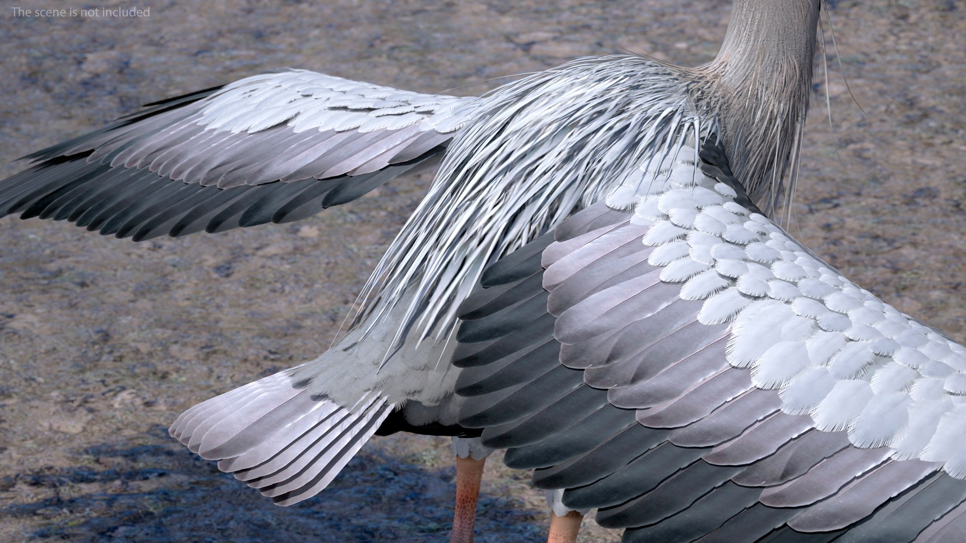 3D Grey Heron Rigged for Maya https://p.turbosquid.com/ts-thumb/pe/s6OmCF/XW/greyheronriggedformaya3dsmodel011/jpg/1667085118/1920x1080/fit_q87/fb1dab45623bea206bfb6982399e75a13a7a43f4/greyheronriggedformaya3dsmodel011.jpg
