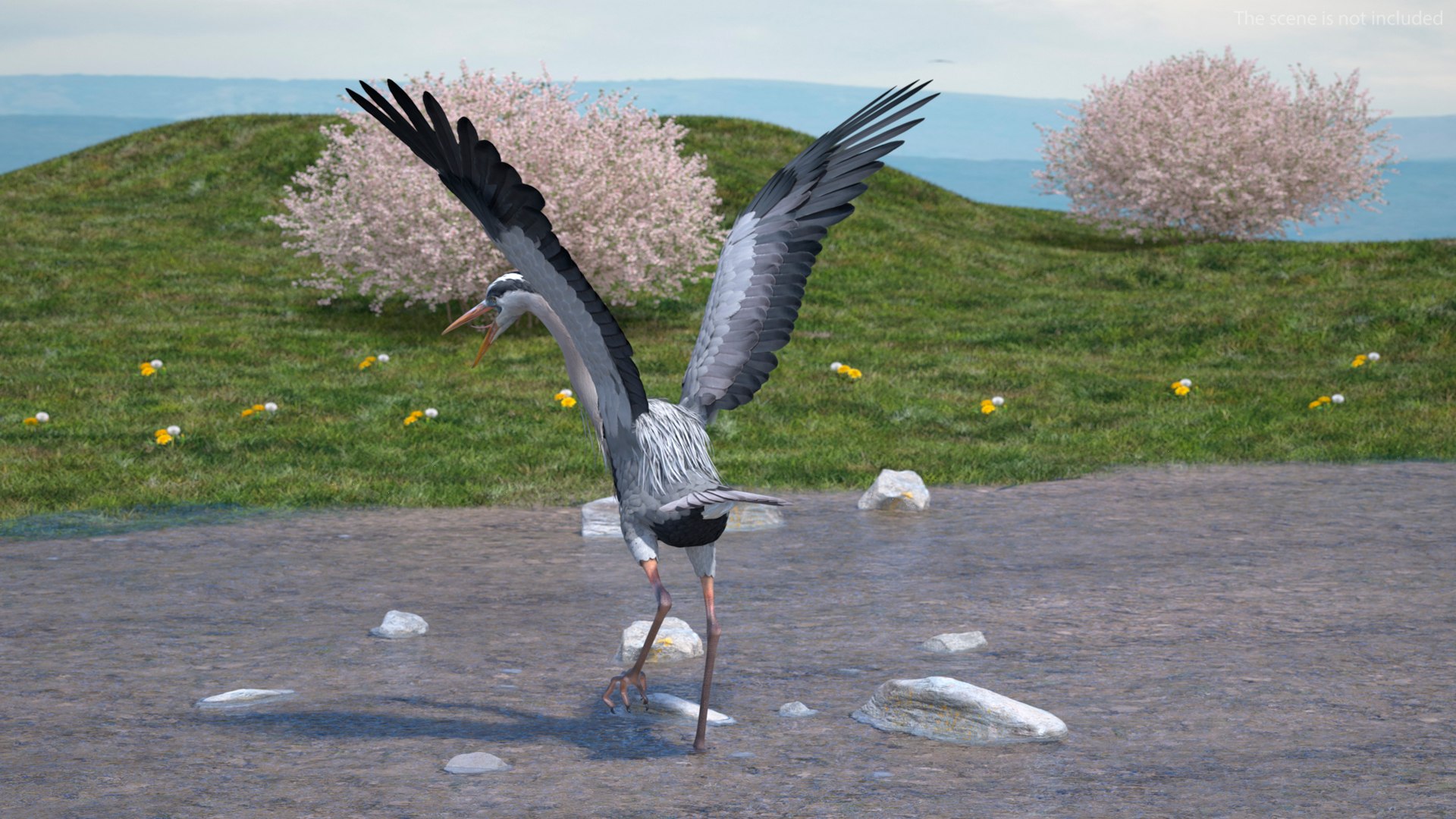 3D Grey Heron Rigged for Maya https://p.turbosquid.com/ts-thumb/pe/s6OmCF/x1/greyheronriggedformaya3dsmodel006/jpg/1667085094/1920x1080/fit_q87/b965b8f607e98598a46c1248d4409b16e4580382/greyheronriggedformaya3dsmodel006.jpg