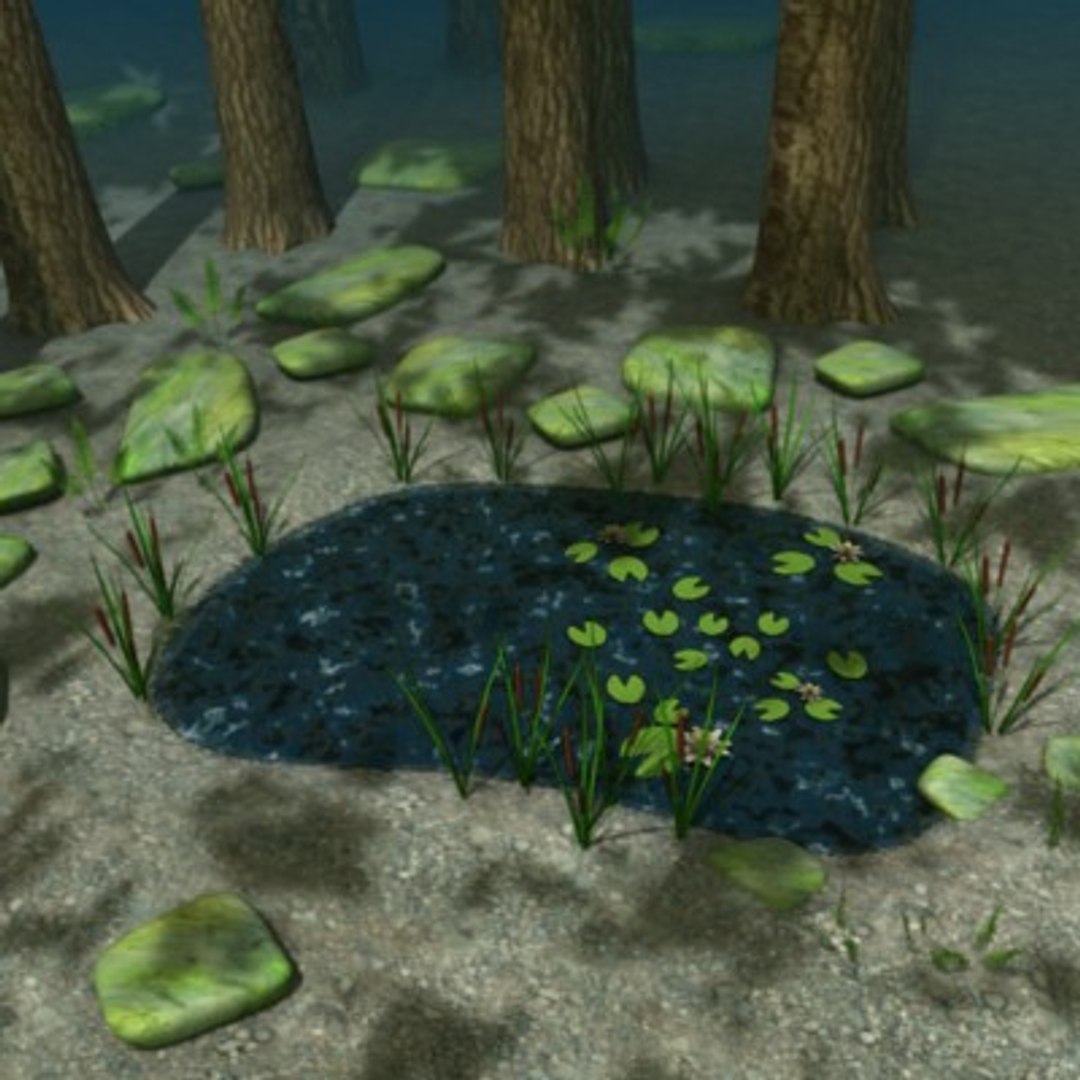 Forest Pond 3d Max