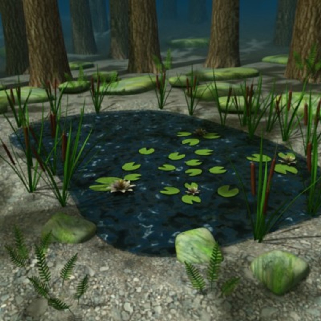 Forest Pond 3d Max