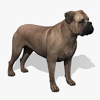 Bullmastiff
